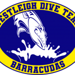 Well Use - Dive Team